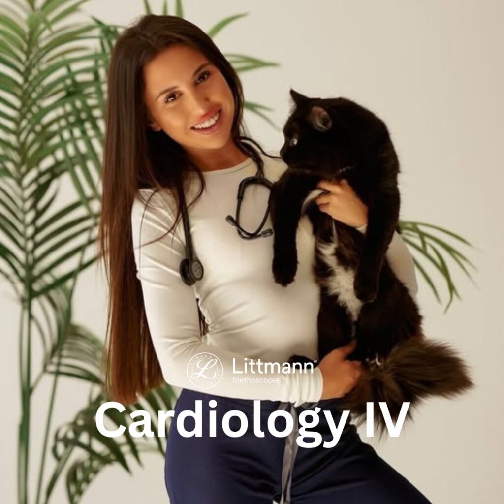 littmann cardiology 4
